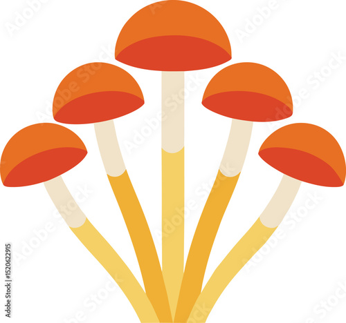 enoki mushroom  vector illustration on white 