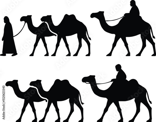 Camel Caravan Vector Illustration of Desert Travel and Arabian Culture