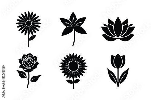 Flower Silhouette Icon Set