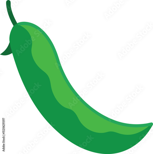 green bean  vector on white background   