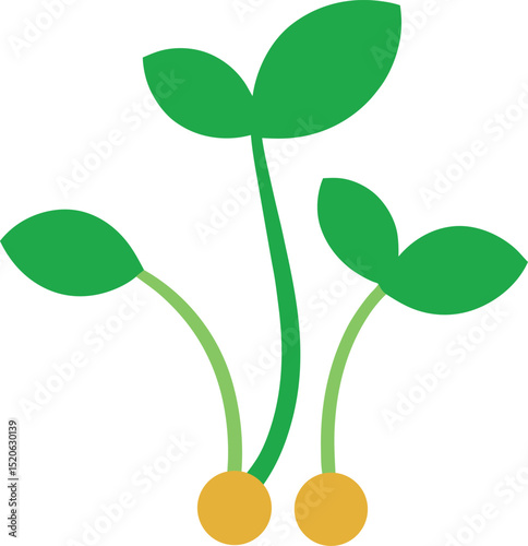 green gram sprout vector on white background  .eps