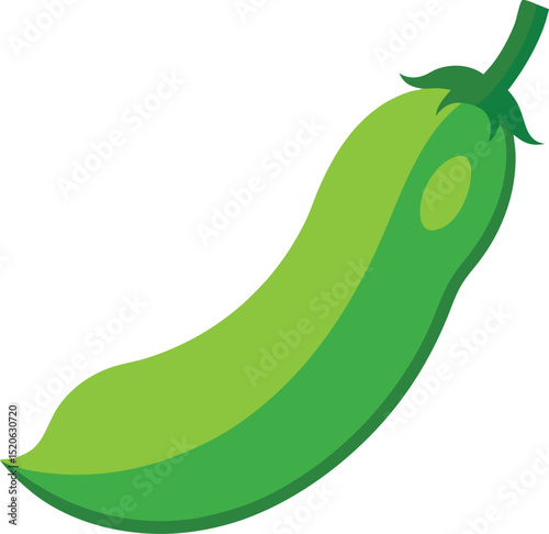 green bean pod  vector on white background  .eps