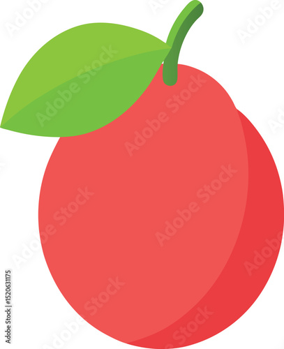 guava fruit  vector illustration on white 