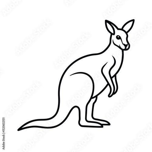 kangaroo with baby