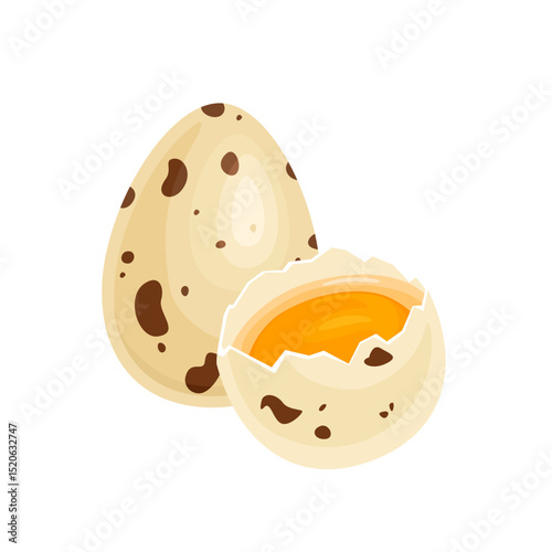 Quail eggs whole and half of egg with yolk isolated on white background. Vector cartoon flat illustration. Healthy food icon