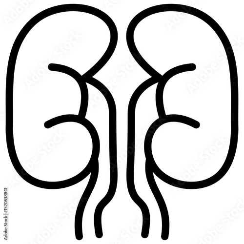 kidneys line icon