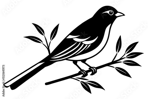 Simple, elegant silhouette of a bird perched on a tree branch against a white vector deign  background. 