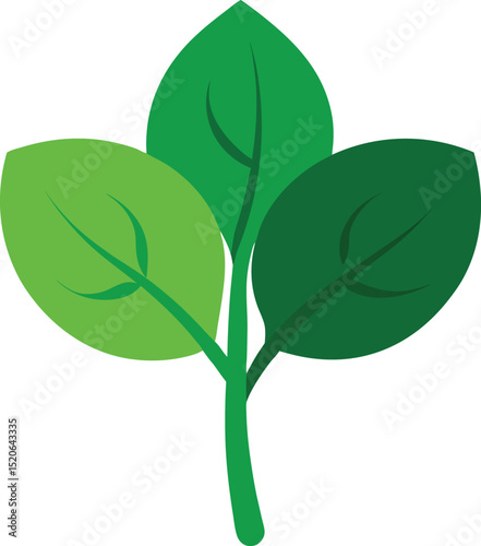 malabar spinach vector icon on white background   