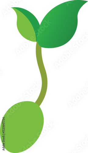 mung bean sprout  vector on white background  .eps