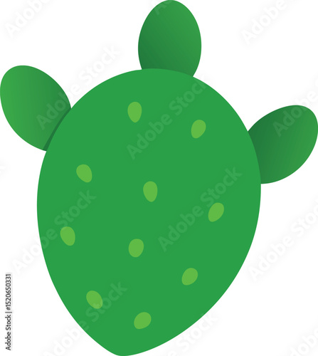nopal cactus pad vector on white background  .eps