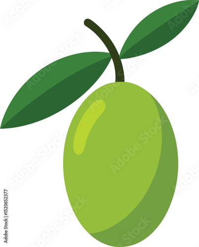 olive fruit  vector on white background  .eps