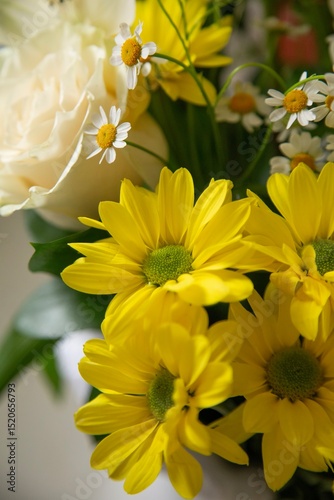 yellow flowers 