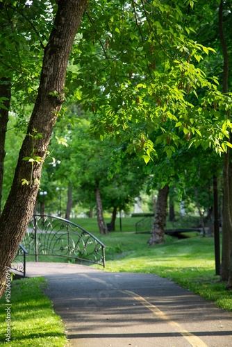 Fototapeta Naklejka Na Ścianę i Meble -  alley in the park