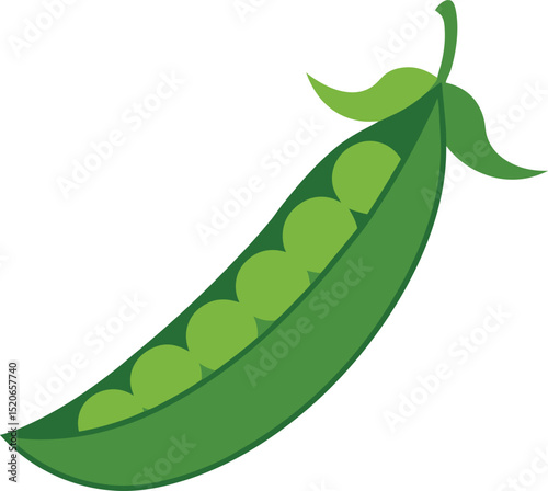 pea pod  vector illustration on white background  