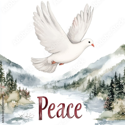 dove in the sky