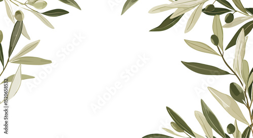 Elegant olive branch design with soft green hues on a white background.