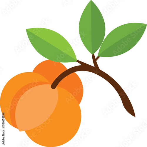 peach blossom vector illustration on white 