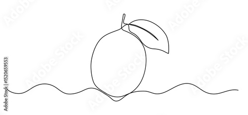Lemon one line illustration. Vector continuous outline isolated sketch of fruit, vector drawing