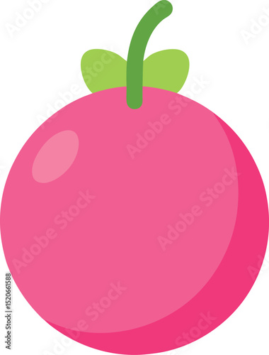 pink peppercorn vector on white background  