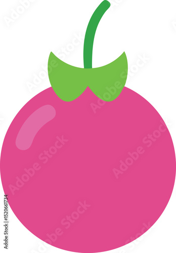 pink peppercorn vector on white background  .eps