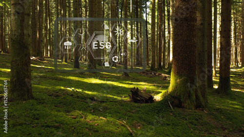 ESG icons illustration inside sunny mossy forest.