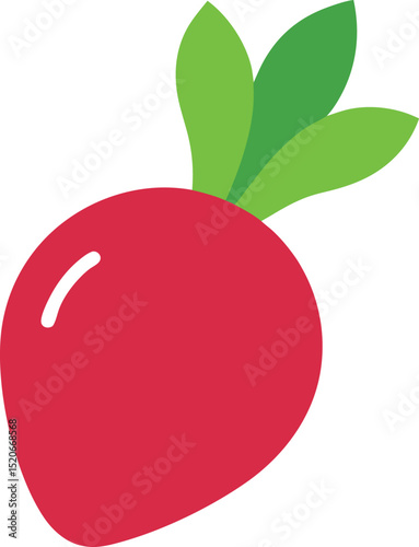 radish slice vector on white background  .eps