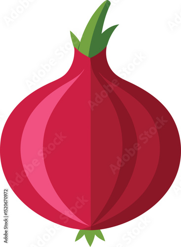 red onion  vector on white background  
