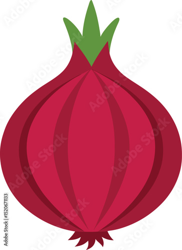red onion  vector on white background  .eps