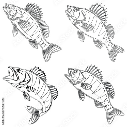 Tench fish set line art and illustrator eps 10