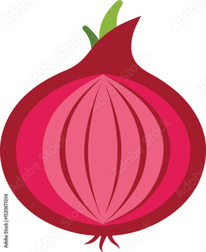 red onion slice  vector on white background  .eps