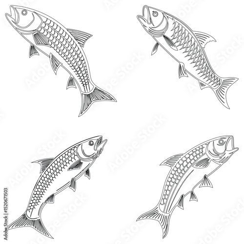 Roach set line art and illustrator eps 10