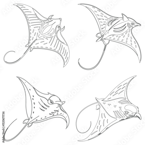 Manta ray set line art and illustrator eps 10