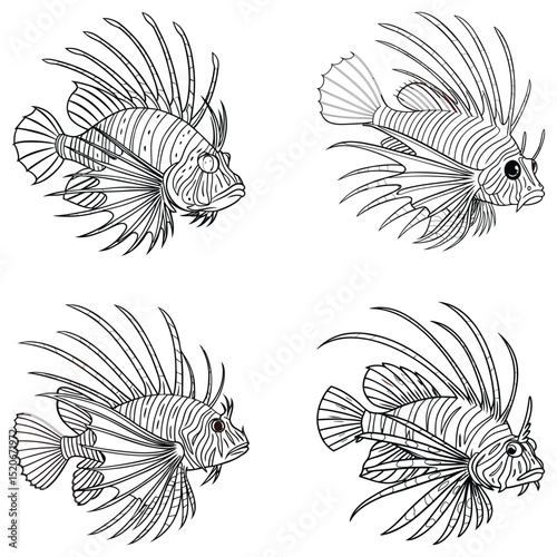 Lionfish bundle line art and illustrator eps 10