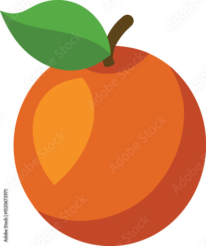 sapodilla fruit vector on white background  .eps