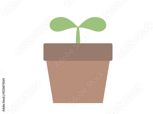 双葉の鉢植え