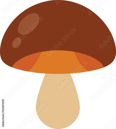 shiitake mushroom evector on white background   