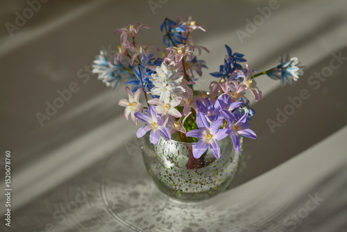 Vibrant spring flowers arranged in a glass vase on a sunny table