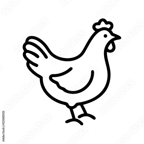 chicken