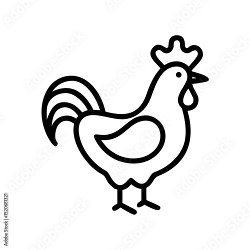 rooster