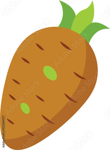 taro root vector on white background  