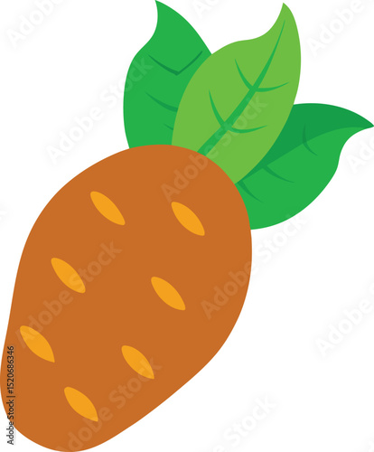 taro root vector on white background  .eps