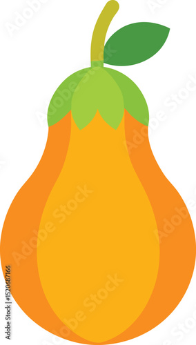 tinda squash vector on white background  .eps