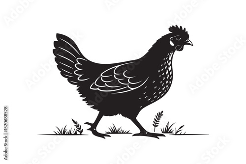 Elegant Hen Silhouette