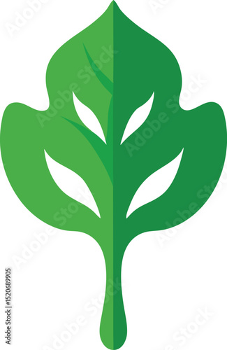 water spinach leaf vector on white background