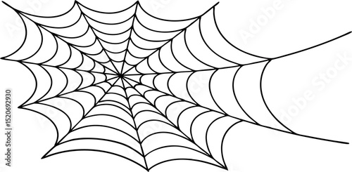 spider web vector isolated on transparent background