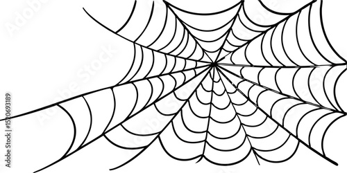 spider web vector