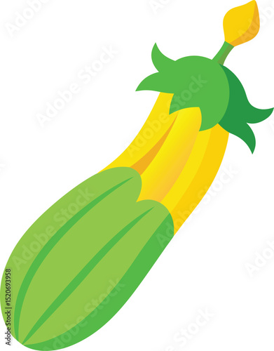 zucchini flower vector on white background  .eps