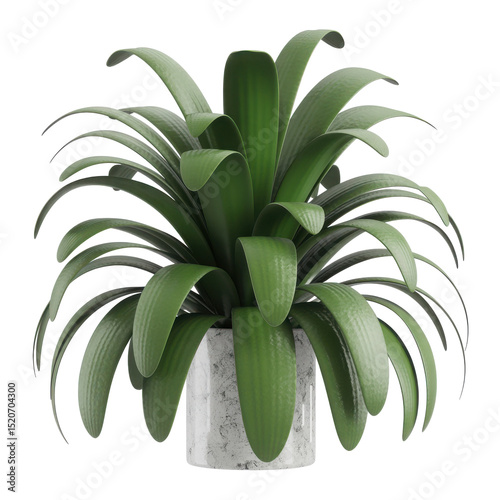 Green plant in white pot isolated on transparent background