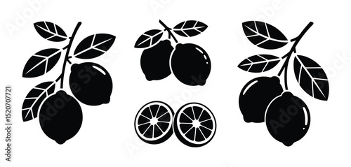 Black and White Lemon Branch Illustrations and Slices