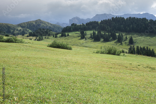 Wide pasture in Dolomites area in Italy